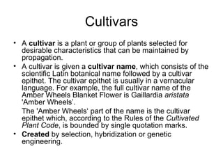 Cultivars
• A cultivar is a plant or group of plants selected for
  desirable characteristics that can be maintained by
  propagation.
• A cultivar is given a cultivar name, which consists of the
  scientific Latin botanical name followed by a cultivar
  epithet. The cultivar epithet is usually in a vernacular
  language. For example, the full cultivar name of the
  Amber Wheels Blanket Flower is Gaillardia aristata
  'Amber Wheels’.
  The 'Amber Wheels‘ part of the name is the cultivar
  epithet which, according to the Rules of the Cultivated
  Plant Code, is bounded by single quotation marks.
• Created by selection, hybridization or genetic
  engineering.
 