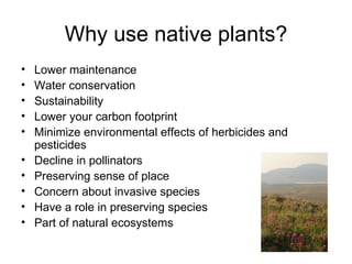 Why use native plants?
•   Lower maintenance
•   Water conservation
•   Sustainability
•   Lower your carbon footprint
•   Minimize environmental effects of herbicides and
    pesticides
•   Decline in pollinators
•   Preserving sense of place
•   Concern about invasive species
•   Have a role in preserving species
•   Part of natural ecosystems
 