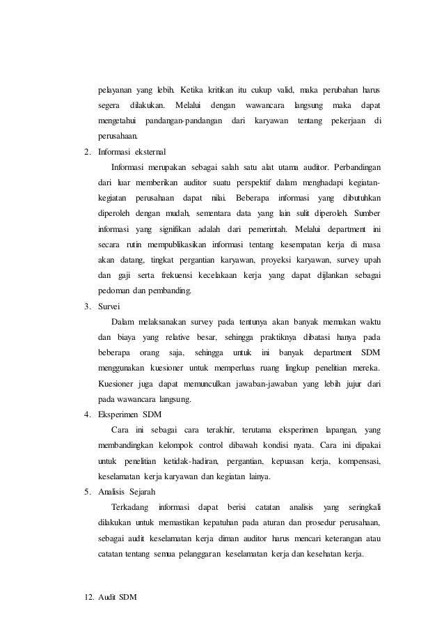 Contoh Laporan Audit Sdm Perusahaan Audit Kinerja