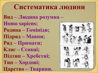 Систематика людини
Вид – Людина розумна –
Homo sapiens;
Родина – Гомініди;
Підряд – Мавпи;
Ряд – Примати;
Клас – Ссавці;
Підтип – Хребетні;
Тип – Хордові;
Царство – Тварини.
 
