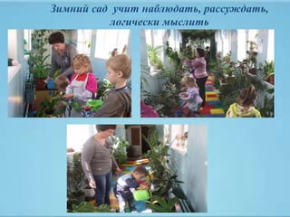 Зимний сад учит наблюдать, рассуждать,
логически мыслить
 