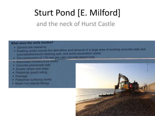 Sturt Pond [E. Milford]
and the neck of Hurst Castle
 