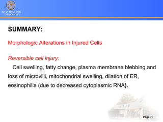 XI’AN JIAOTONG
UNIVERSITY
Page 29
SUMMARY:
Morphologic Alterations in Injured Cells
Reversible cell injury:
Cell swelling, fatty change, plasma membrane blebbing and
loss of microvilli, mitochondrial swelling, dilation of ER,
eosinophilia (due to decreased cytoplasmic RNA).
 