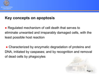 XI’AN JIAOTONG
UNIVERSITY
Page 31
Key concepts on apoptosis
● Regulated mechanism of cell death that serves to
eliminate unwanted and irreparably damaged cells, with the
least possible host reaction
● Characterized by enzymatic degradation of proteins and
DNA, initiated by caspases; and by recognition and removal
of dead cells by phagocytes
 