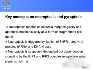 XI’AN JIAOTONG
UNIVERSITY
Page 33
Key concepts on necroptosis and pyroptosis
● Necroptosis resembles necrosis morphologically and
apoptosis mechanistically as a form of programmed cell
death
● Necroptosis is triggered by ligation of TNFR1, and viral
proteins of RNA and DNA viruses
● Necroptosis is caspase-independent but dependent on
signalling by the RIP1 and RIP3 complex (receptor-interacting
protein 1/3, RIP1/3)
 