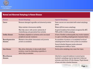 XI’AN JIAOTONG
UNIVERSITY
Page 38
 
