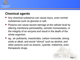 XI’AN JIAOTONG
UNIVERSITY
Page 44
Chemical agents
 Any chemical substance can cause injury, even normal
substances such as glucose or salt.
 Poisons can cause severe damage at the cellular level by
altering membrane permeability, osmotic homeostasis, or
the integrity of an enzyme and result in the death of the
whole organism.
 eg.: air pollutants, insecticides, carbon monoxide, strong
acids or alkali, and social “stimuli” such as alcohol, and
other poisons such as arsenic, cyanide, melamine, even
therapeutic drugs.
 