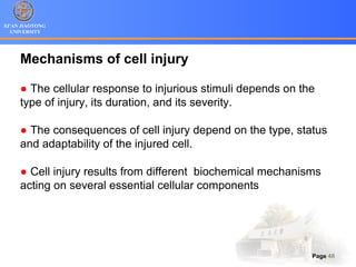 XI’AN JIAOTONG
UNIVERSITY
Page 48
Mechanisms of cell injury
● The cellular response to injurious stimuli depends on the
type of injury, its duration, and its severity.
● The consequences of cell injury depend on the type, status
and adaptability of the injured cell.
● Cell injury results from different biochemical mechanisms
acting on several essential cellular components
 