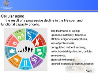 XI’AN JIAOTONG
UNIVERSITY
Page 58
Cellular aging
the result of a progressive decline in the life span and
functional capacity of cells.
The Hallmarks of Aging:
genomic instability, telomere
attrition, epigenetic alterations,
loss of proteostasis,
deregulated nutrient sensing,
mitochondrial dysfunction, cellular
senescence,
stem cell exhaustion,
altered intercellular communication
 