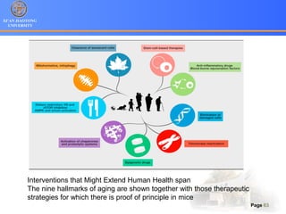 XI’AN JIAOTONG
UNIVERSITY
Page 63
Interventions that Might Extend Human Health span
The nine hallmarks of aging are shown together with those therapeutic
strategies for which there is proof of principle in mice
 