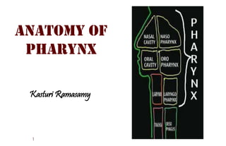Anatomy of
Pharynx
1
Kasturi Ramasamy
 