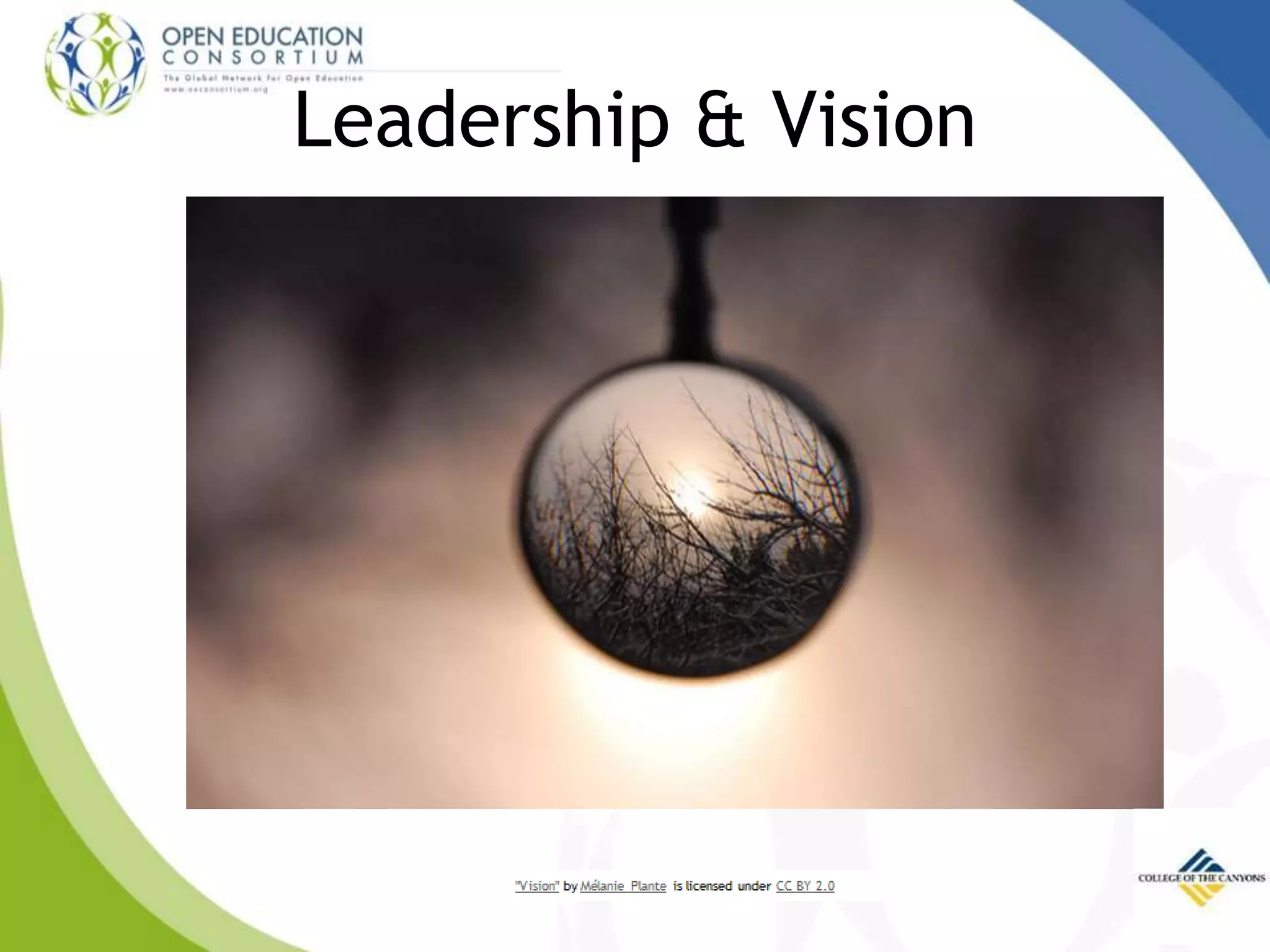 Leadership & Vision
 