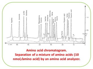 Amino acid chromatogram.
Separation of a mixture of amino acids (10
nmol/amino acid) by an amino acid analyzer.
 