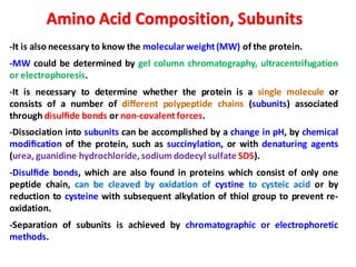 -It is also necessary to know the molecular weight(MW) of the protein.
-MW could be determined by gel column chromatography, ultracentrifugation
or electrophoresis.
-It is necessary to determine whether the protein is a single molecule or
consists of a number of different polypeptide chains (subunits) associated
through disulﬁde bonds or non-covalentforces.
-Dissociation into subunits can be accomplished by a change in pH, by chemical
modiﬁcation of the protein, such as succinylation, or with denaturing agents
(urea, guanidine hydrochloride, sodium dodecyl sulfate SDS).
-Disulﬁde bonds, which are also found in proteins which consist of only one
peptide chain, can be cleaved by oxidation of cystine to cysteic acid or by
reduction to cysteine with subsequent alkylation of thiol group to prevent re-
oxidation.
-Separation of subunits is achieved by chromatographic or electrophoretic
methods.
Amino Acid Composition, Subunits
 