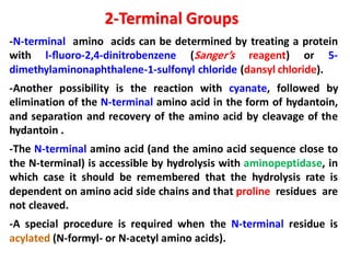 -N-terminal amino acids can be determined by treating a protein
with l-ﬂuoro-2,4-dinitrobenzene (Sanger’s reagent) or 5-
dimethylaminonaphthalene-1-sulfonyl chloride (dansyl chloride).
-Another possibility is the reaction with cyanate, followed by
elimination of the N-terminal amino acid in the form of hydantoin,
and separation and recovery of the amino acid by cleavage of the
hydantoin .
-The N-terminal amino acid (and the amino acid sequence close to
the N-terminal) is accessible by hydrolysis with aminopeptidase, in
which case it should be remembered that the hydrolysis rate is
dependent on amino acid side chains and that proline residues are
not cleaved.
-A special procedure is required when the N-terminal residue is
acylated (N-formyl- or N-acetyl amino acids).
2-Terminal Groups
 