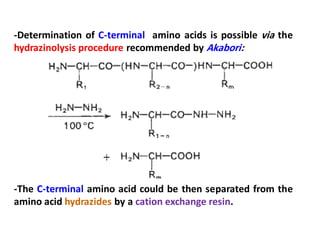 -Determination of C-terminal amino acids is possible via the
hydrazinolysis procedure recommended by Akabori:
-The C-terminal amino acid could be then separated from the
amino acid hydrazides by a cation exchange resin.
 
