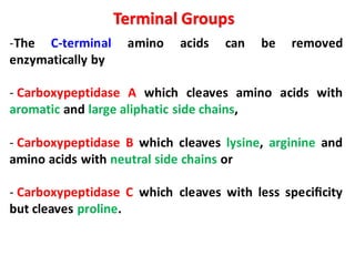 -The C-terminal amino acids can be removed
enzymatically by
- Carboxypeptidase A which cleaves amino acids with
aromatic and large aliphatic side chains,
- Carboxypeptidase B which cleaves lysine, arginine and
amino acids with neutral side chains or
- Carboxypeptidase C which cleaves with less speciﬁcity
but cleaves proline.
Terminal Groups
 