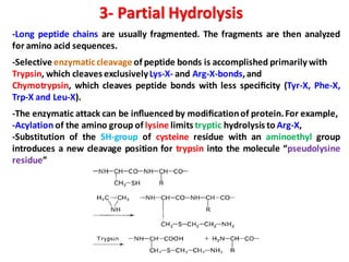 -Long peptide chains are usually fragmented. The fragments are then analyzed
for amino acid sequences.
-Selective enzymaticcleavage of peptide bonds is accomplished primarily with
Trypsin, which cleaves exclusivelyLys-X- and Arg-X-bonds,and
Chymotrypsin, which cleaves peptide bonds with less speciﬁcity (Tyr-X, Phe-X,
Trp-X and Leu-X).
-The enzymatic attack can be inﬂuenced by modiﬁcationof protein.For example,
-Acylation of the amino group of lysine limits tryptic hydrolysis to Arg-X,
-Substitution of the SH-group of cysteine residue with an aminoethyl group
introduces a new cleavage position for trypsin into the molecule “pseudolysine
residue”
3- Partial Hydrolysis
 