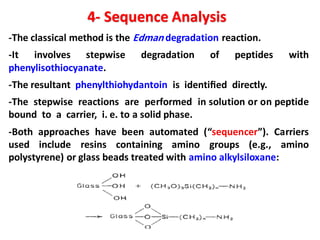 -The classical method is the Edman degradation reaction.
-It involves stepwise degradation of peptides with
phenylisothiocyanate.
-The resultant phenylthiohydantoin is identiﬁed directly.
-The stepwise reactions are performed in solution or on peptide
bound to a carrier, i. e. to a solid phase.
-Both approaches have been automated (“sequencer”). Carriers
used include resins containing amino groups (e.g., amino
polystyrene) or glass beads treated with amino alkylsiloxane:
4- Sequence Analysis
 