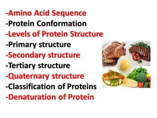 -Amino Acid Sequence
-Protein Conformation
-Levels of Protein Structure
-Primary structure
-Secondary structure
-Tertiary structure
-Quaternary structure
-Classification of Proteins
-Denaturation of Protein
 