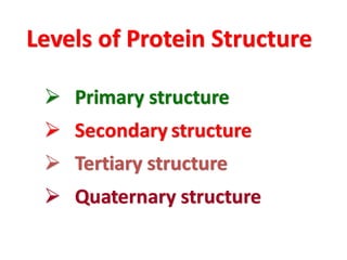 Levels of Protein Structure
➢ Primary structure
➢ Secondary structure
➢ Tertiary structure
➢ Quaternary structure
 