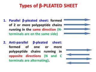 Types of β-PLEATED SHEET
1. Parallel β-pleated sheet: formed
of 2 or more polypeptide chains
running in the same direction (N-
terminals are on the same side)
2. Anti-parallel β-pleated sheet:
formed of one or more
polypeptide chains running in
opposite directions (N and C
terminals are alternating).
 