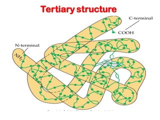 Tertiary structure
 