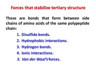 Forces that stabilize tertiary structure
These are bonds that form between side
chains of amino acids of the same polypeptide
chain:
1. Disulfide bonds.
2. Hydrophobic interactions.
3. Hydrogen bonds.
4. Ionic interactions.
5. Van der Waal’s forces.
 