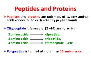 Peptides and Proteins
➢ Peptides and proteins are polymers of twenty amino
acids connected to each other by peptide bonds.
➢ Oligopeptide is formed of (2 –10) amino acids:
2 amino acids dipeptide,
3 amino acids tripeptide,
4 amino acids tetrapeptide ….etc.
➢ Polypeptide is formed of more than 10 amino acids.
 