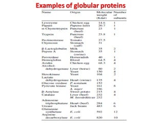 Examples of globular proteins
 