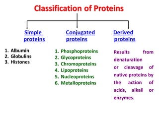 Classification of Proteins
Simple Conjugated Derived
proteins proteins proteins
1. Albumin
2. Globulins
3. Histones
1. Phosphoproteins
2. Glycoproteins
3. Chromoproteins
4. Lipoproteins
5. Nucleoproteins
6. Metalloproteins
Results from
denaturation
or cleavage of
native proteins by
the action of
acids, alkali or
enzymes.
 