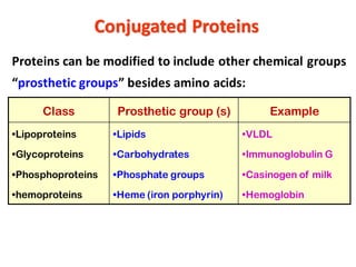 Proteins can be modified to include other chemical groups
“prosthetic groups” besides amino acids:
Class Prosthetic group (s) Example
•Lipoproteins
•Glycoproteins
•Phosphoproteins
•hemoproteins
•Lipids
•Carbohydrates
•Phosphate groups
•Heme (iron porphyrin)
•VLDL
•Immunoglobulin G
•Casinogen of milk
•Hemoglobin
Conjugated Proteins
 
