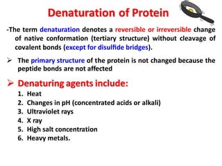 Denaturation of Protein
-The term denaturation denotes a reversible or irreversible change
of native conformation (tertiary structure) without cleavage of
covalent bonds (except for disulﬁde bridges).
➢ The primary structure of the protein is not changed because the
peptide bonds are not affected
➢ Denaturing agents include:
1. Heat
2. Changes in pH (concentrated acids or alkali)
3. Ultraviolet rays
4. X ray
5. High salt concentration
6. Heavy metals.
 