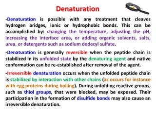 Denaturation
-Denaturation is possible with any treatment that cleaves
hydrogen bridges, ionic or hydrophobic bonds. This can be
accomplished by: changing the temperature, adjusting the pH,
increasing the interface area, or adding organic solvents, salts,
urea, or detergents such as sodium dodecyl sulfate.
-Denaturation is generally reversible when the peptide chain is
stabilized in its unfolded state by the denaturing agent and native
conformation can be re-established after removal of the agent.
-Irreversible denaturation occurs when the unfolded peptide chain
is stabilized by interaction with other chains (as occurs for instance
with egg proteins during boiling). During unfolding reactive groups,
such as thiol groups, that were blocked, may be exposed. Their
participation in the formation of disulﬁde bonds may also cause an
irreversible denaturation.
 