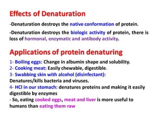 Effects of Denaturation
-Denaturation destroys the native conformation of protein.
-Denaturation destroys the biologic activity of protein, there is
loss of hormonal, enzymatic and antibody activity.
Applications of protein denaturing
1- Boiling eggs: Change in albumin shape and solubility.
2- Cooking meat: Easily chewable, digestible.
3- Swabbing skin with alcohol (disinfectant):
Denatures/kills bacteria and viruses.
4- HCl in our stomach: denatures proteins and making it easily
digestible by enzymes
- So, eating cooked eggs, meat and liver is more useful to
humans than eating them raw
 