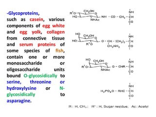 -Glycoproteins,
such as casein, various
components of egg white
and egg yolk, collagen
from connective tissue
and serum proteins of
some species of ﬁsh,
contain one or more
monosaccharide or
oligosaccharide units
bound O-glycosidically to
serine, threonine or
hydroxylysine or N-
glycosidically to
asparagine.
 