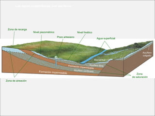Las aguas subterráneas. Los acuíferos
Agua superficial
Manantial
Pozo artesiano
Nivel piezométrico
Zona de recarga
Nivel freático
Zona de aireación
Formación impermeable
Acuífero confinado
Formación impermeable
Zona
de saturación
Acuífero libre
Acuífero
colgado
 