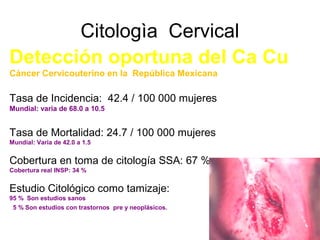 Citologìa Cervical
Detección oportuna del Ca Cu
Cáncer Cervicouterino en la República Mexicana
Tasa de Incidencia: 42.4 / ...