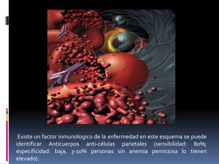 Existe un factor inmunologico de la enfermedad en este esquema se puede
identificar Anticuerpos anti-células parietales (sensibilidad: 80%;
especificidad: baja, 3-10% personas sin anemia perniciosa lo tienen
elevado).
 