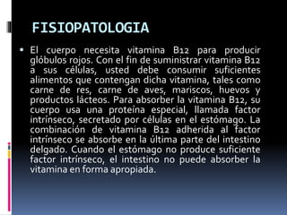 FISIOPATOLOGIA
 El cuerpo necesita vitamina B12 para producir
glóbulos rojos. Con el fin de suministrar vitamina B12
a sus células, usted debe consumir suficientes
alimentos que contengan dicha vitamina, tales como
carne de res, carne de aves, mariscos, huevos y
productos lácteos. Para absorber la vitamina B12, su
cuerpo usa una proteína especial, llamada factor
intrínseco, secretado por células en el estómago. La
combinación de vitamina B12 adherida al factor
intrínseco se absorbe en la última parte del intestino
delgado. Cuando el estómago no produce suficiente
factor intrínseco, el intestino no puede absorber la
vitamina en forma apropiada.
 