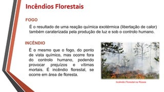 FOGO
É o resultado de uma reação química exotérmica (libertação de calor)
também caraterizada pela produção de luz e sob o controlo humano.
Incêndio Florestal na Rússia
Incêndios Florestais
INCÊNDIO
É o mesmo que o fogo, do ponto
de vista químico, mas ocorre fora
do controlo humano, podendo
provocar prejuízos e vítimas
mortais. É incêndio florestal, se
ocorre em área de floresta.
 