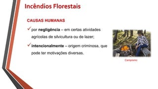 CAUSAS HUMANAS
por negligência – em certas atividades
agrícolas de silvicultura ou de lazer;
intencionalmente – origem criminosa, que
pode ter motivações diversas.
Incêndios Florestais
Campismo
 
