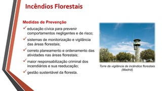Medidas de Prevenção
educação cívica para prevenir
comportamentos negligentes e de risco;
sistemas de monitorização e vigilância
das áreas florestais;
correto planeamento e ordenamento das
atividades nas áreas florestais;
maior responsabilização criminal dos
incendiários e sua reeducação;
gestão sustentável da floresta.
Incêndios Florestais
Torre de vigilância de incêndios florestais
(Madrid)
 