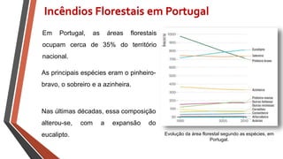 EM PORTUGAL…
Em Portugal, as áreas florestais
ocupam cerca de 35% do território
nacional.
Evolução da área florestal segundo as espécies, em
Portugal.
As principais espécies eram o pinheiro-
bravo, o sobreiro e a azinheira.
Nas últimas décadas, essa composição
alterou-se, com a expansão do
eucalipto.
Incêndios Florestais em Portugal
 