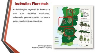 Fig. – Eucaliptal, Portugal.
EM PORTUGAL…
A distribuição regional da floresta e
das suas espécies explica-se,
sobretudo, pela ocupação humana e
pelas caraterísticas climáticas
Distribuição da área
florestal, por NUTS II (2010).
Incêndios Florestais
 