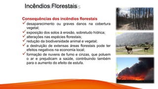 Consequências dos incêndios florestais
desaparecimento ou graves danos na cobertura
vegetal;
exposição dos solos à erosão, sobretudo hídrica;
alterações nas espécies florestais;
redução da biodiversidade animal e vegetal;
a destruição de extensas áreas florestais pode ter
efeitos negativos na economia local;
formação de nuvens de fumo e cinzas, que poluem
o ar e prejudicam a saúde, contribuindo também
para o aumento do efeito de estufa.
Incêndios Florestais
 