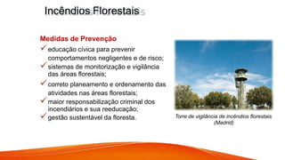 Medidas de Prevenção
educação cívica para prevenir
comportamentos negligentes e de risco;
sistemas de monitorização e vigilância
das áreas florestais;
correto planeamento e ordenamento das
atividades nas áreas florestais;
maior responsabilização criminal dos
incendiários e sua reeducação;
gestão sustentável da floresta.
Incêndios Florestais
Torre de vigilância de incêndios florestais
(Madrid)
 
