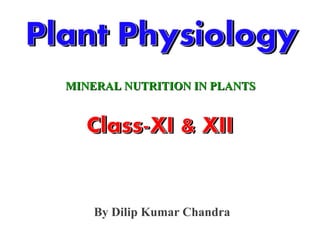 MINERAL NUTRITION IN PLANTSMINERAL NUTRITION IN PLANTS
By Dilip Kumar Chandra
 