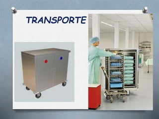 TRANSPORTE
 