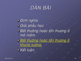43April 25, 2017
DAØN BAØI
Ñònh nghóa.
Giaûi phaãu hoïc.
Baát thöôøng hoaëc toån thöông ôû
moâ meàm.
Baát thöôøng hoaëc toån thöông ôû
khung xöông.
Keát luaän.
 